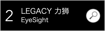 LEGACY 力狮
