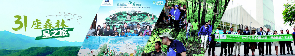 31座森林星之旅 第四季